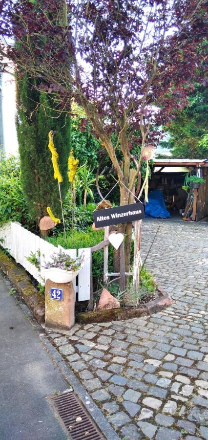 Apartment Altes Winzerhaus Osann-Monzel Dış mekan fotoğraf