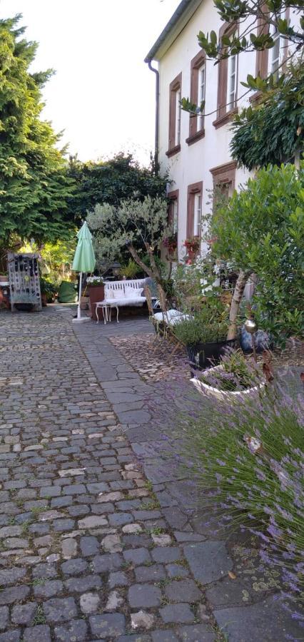 Apartment Altes Winzerhaus Osann-Monzel Dış mekan fotoğraf